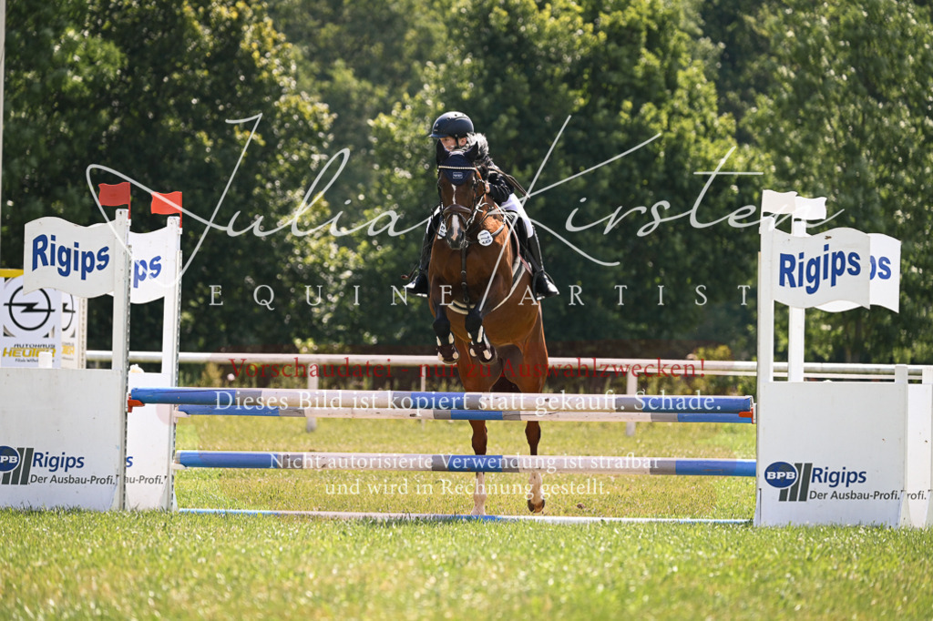 DSC_9001 | Pferde- und Turnierfotografie in Westsachsen. Pferdeportraits, Auftragszeichnungen und intuitive Kunst.