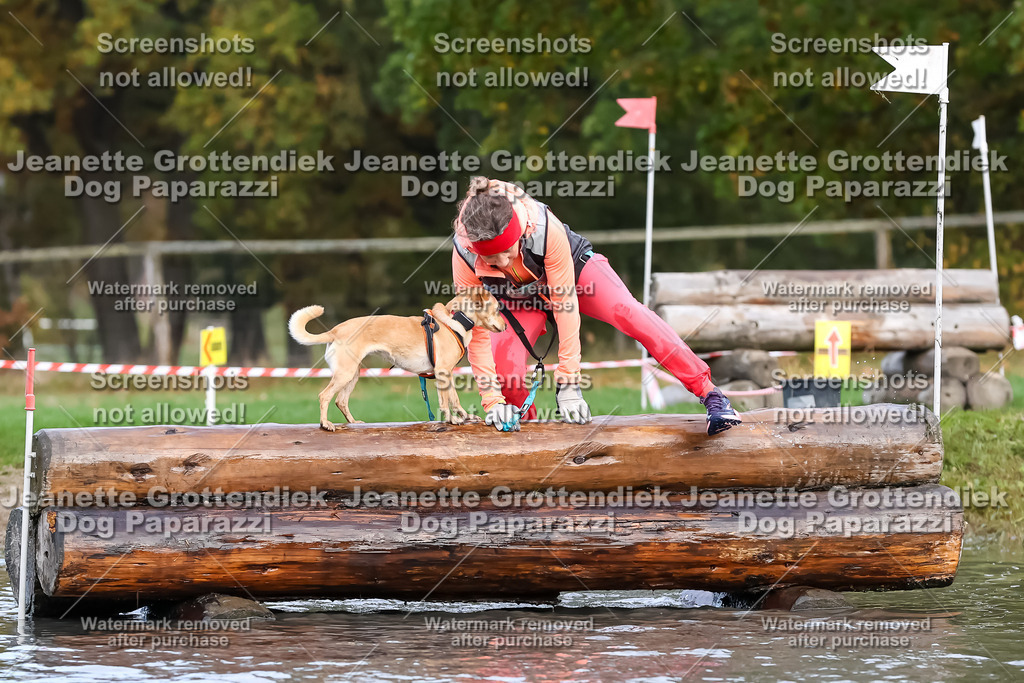 Dog Paparazzi - Strongdog 10-25-6842 | Dog Paparazzi Jeanette Grottendiek Fotografie & Videografie - Realisiert mit Pictrs.com