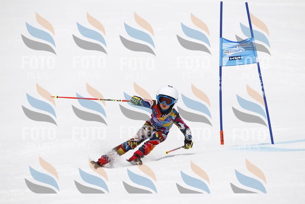 _U3G7731 | holidayphoto