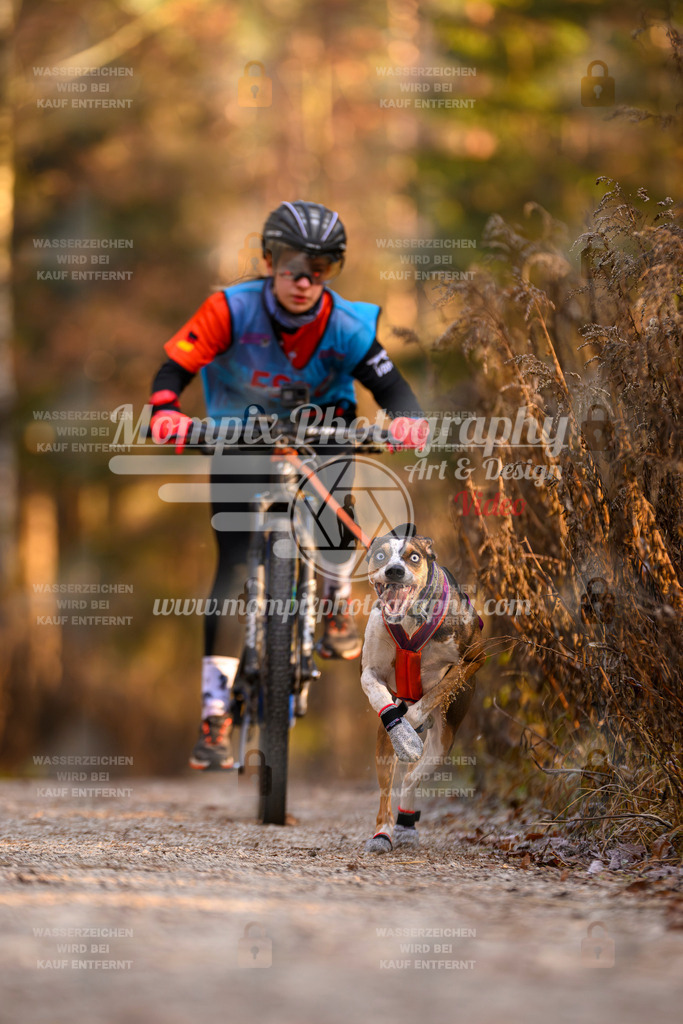 MompixPhotography_DM_AKDM_SO_2025_Bike-73 | PayLife