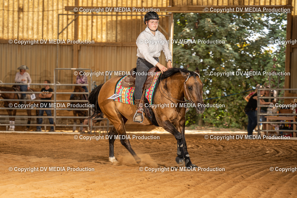 NID02305 | dv-media-shop - Realisiert mit Pictrs.com