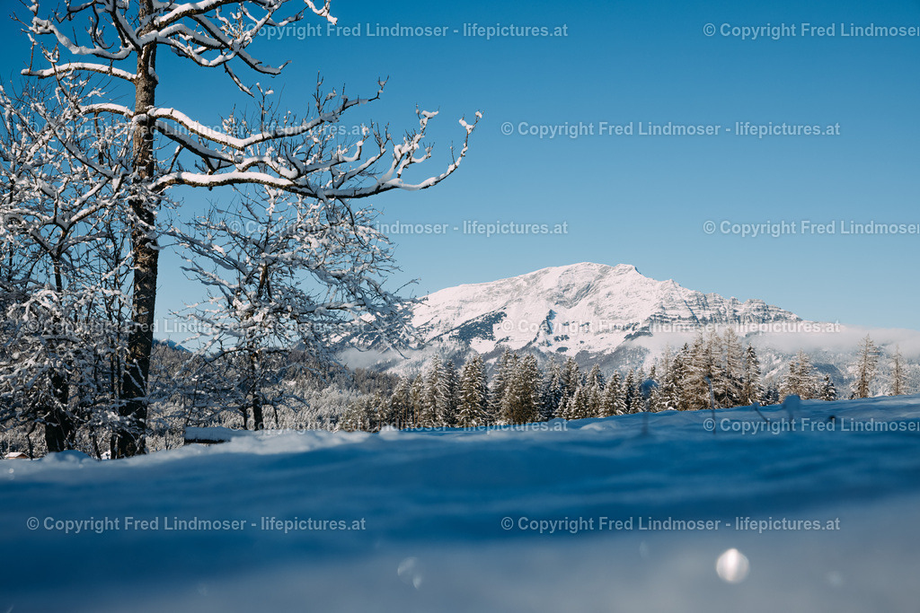 Winterlandschaft Mariazellerland 11122020-0155 | Fotos und Fotoprodukte - Realisiert mit Pictrs.com