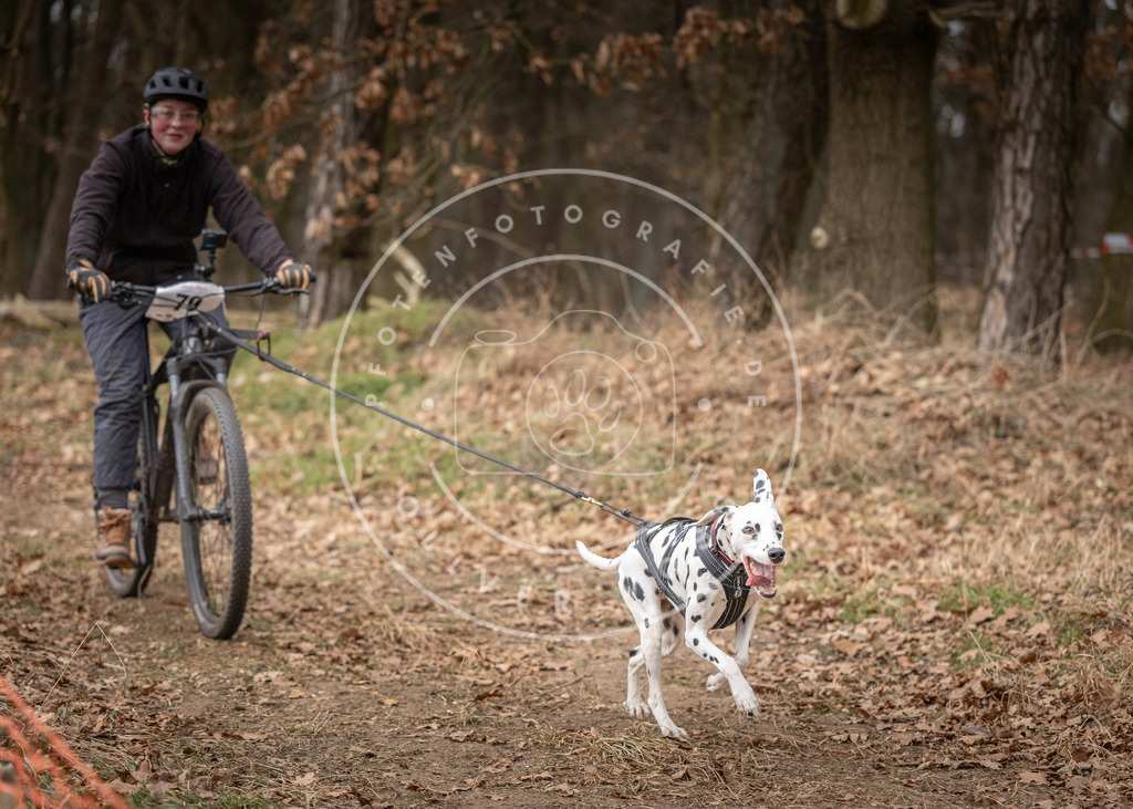 Pfotenfotografie_DV3A1966 | Hundefotografie, Tierfotograf, Pfotenfotografie, Fotoshooting Hund, Hunde Portrait, Hundesport, Hundeportraits, Heideshooting, Hunde, Sportfotograf, Hundefotograf, Turnierhundsport, THS,  - Realisiert mit Pictrs.com