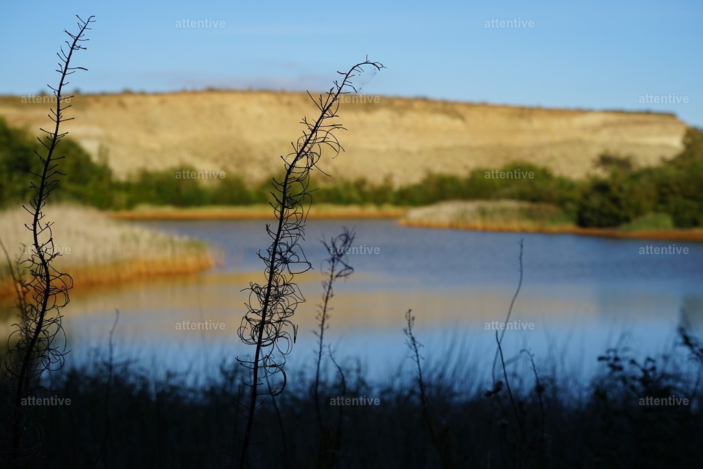 Lagune | Dänemark, Ejerslev Lagune - Realisiert mit Pictrs.com