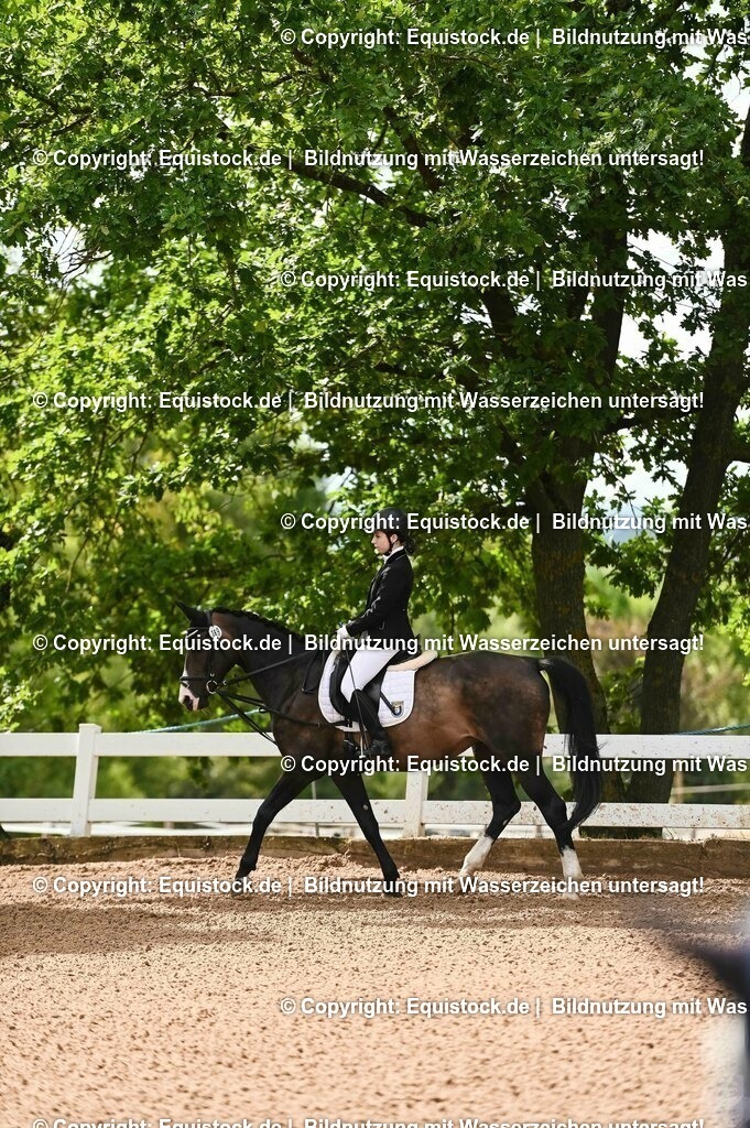 20230716_10-1_Reiter-WB Schritt - Trab - Galopp_0111 | equistock