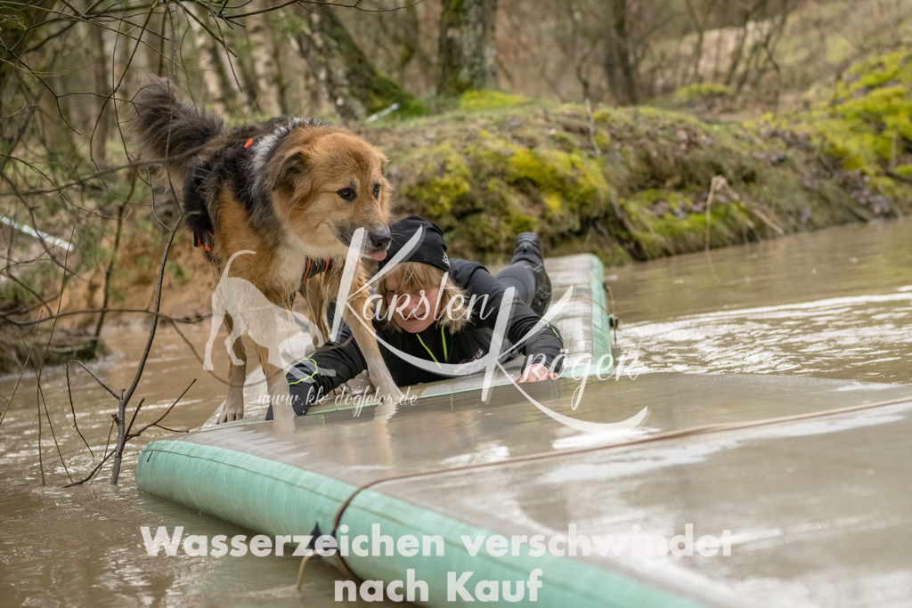 1333_ZZ90883-Bearbeitet | kk-dogfotos