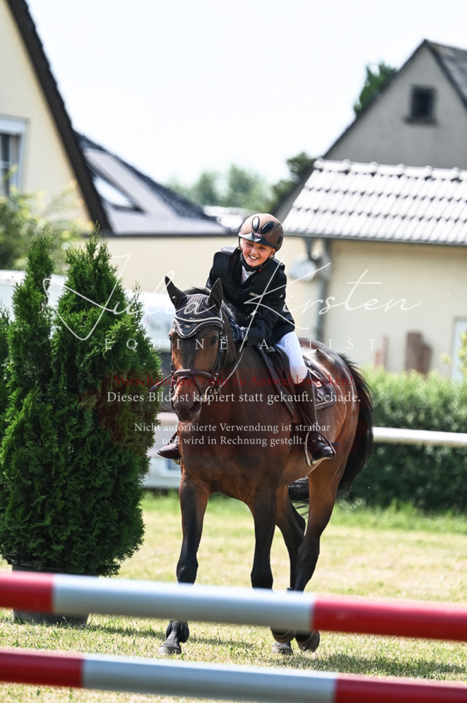 DSC_9273 | Pferde- und Turnierfotografie in Westsachsen. Pferdeportraits, Auftragszeichnungen und intuitive Kunst.