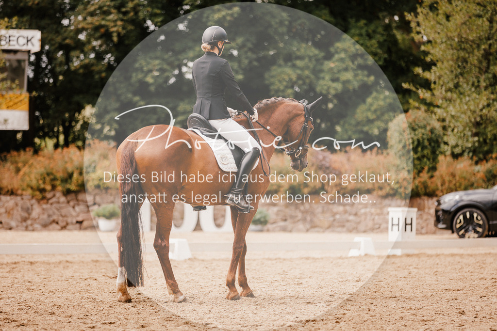 3I6A6197 | Stimmungsvolle Portraits und Reitsportfotografie im Ruhrgebiet und im Münsterland.

Pferdefotografie, Hundefotografie, Tierfotografie, Reportagen, Portraits von Tier und Mensch, Turnierfotografie in Bochum, Recklinghausen, Marl, Haltern am See, Dülmen.. - Realisiert mit Pictrs.com