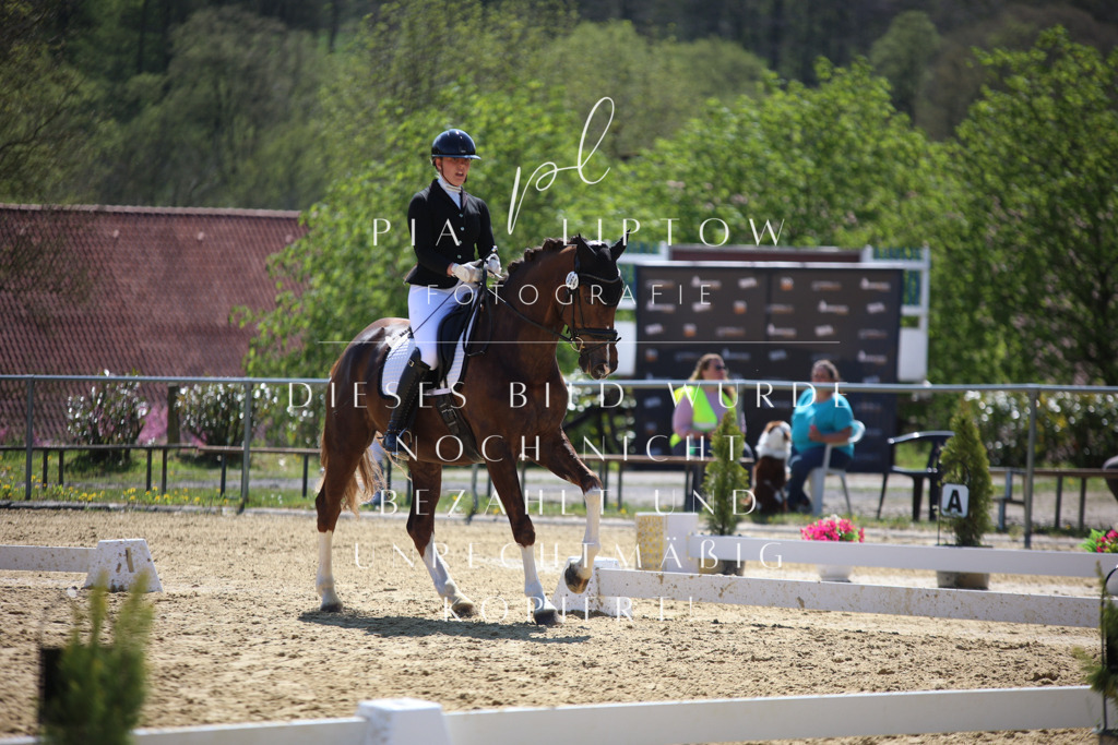 IMGT2600 | pl-fotografie