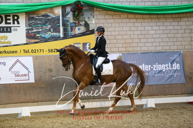 IMG_2943 | Turnierfotos kaufen im Webshop von Daniel Kuhl Photography – entdecke professionelle Reitsportfotos aus Turnieren & Events. Hochwertige Turnierbilder online bestellen & sichern. Jetzt Fotos von Reitsportturnieren kaufen!