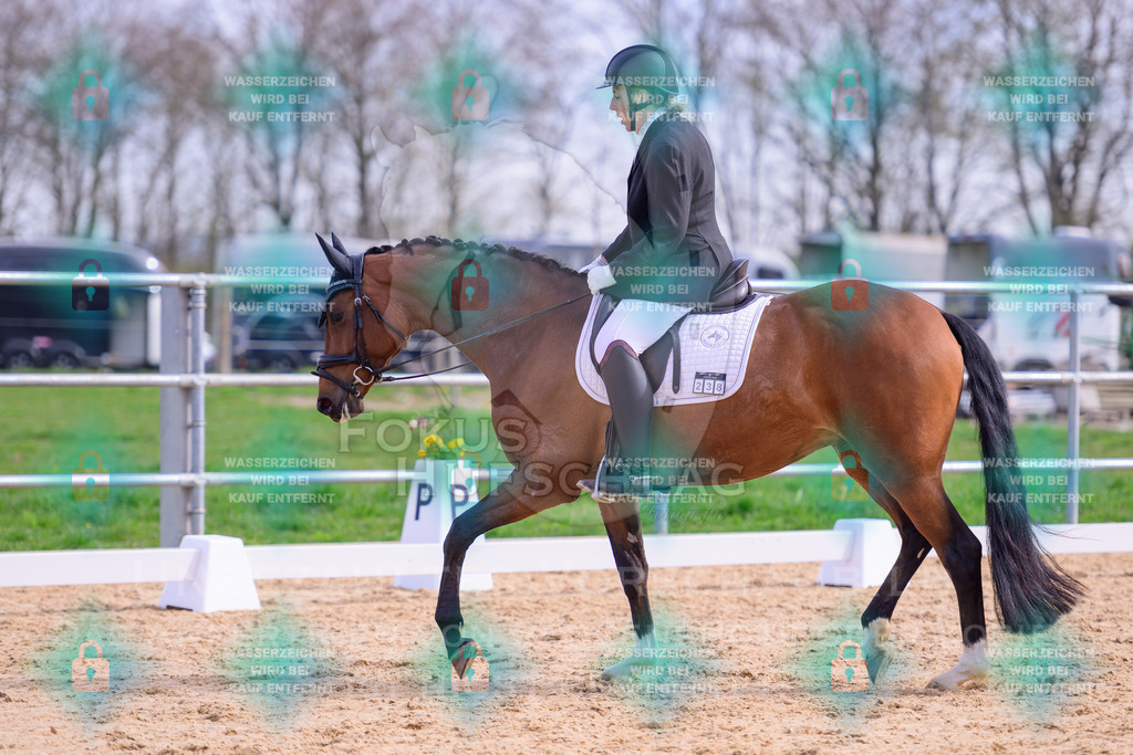 09042026-Mammendorf-Prfg01-0120 | Fokus Hufschlag Fotografie - Realisiert mit Pictrs.com