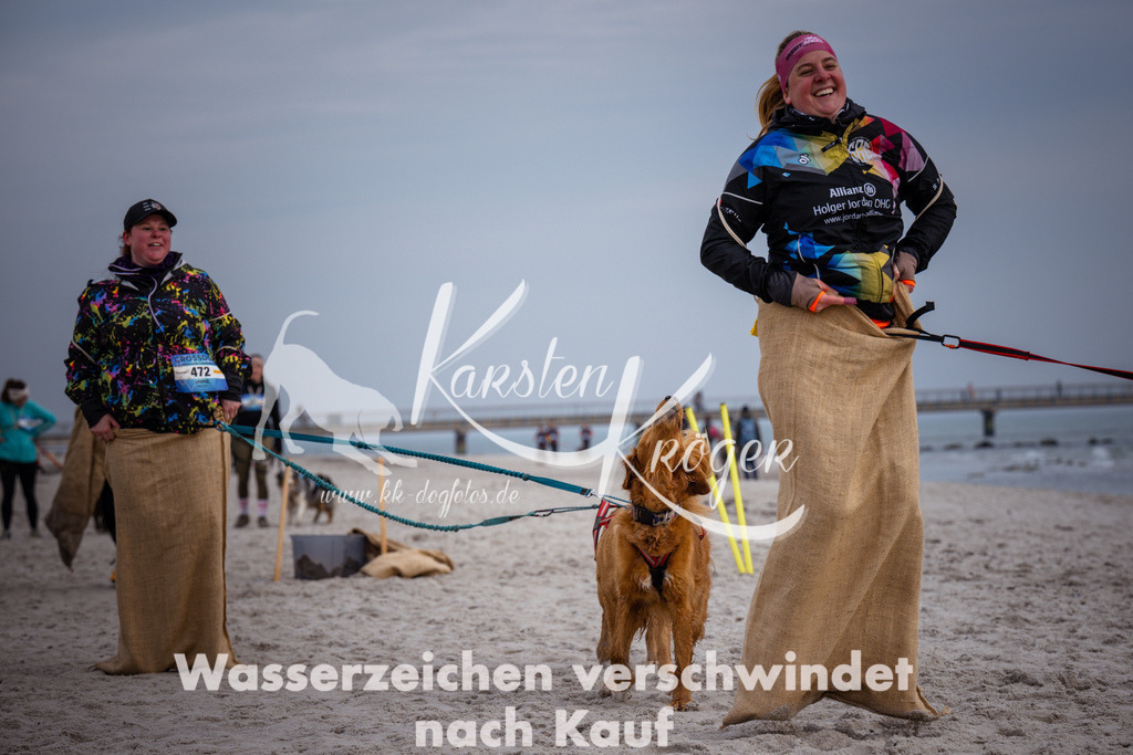 1254_ZZ96838 | kk-dogfotos