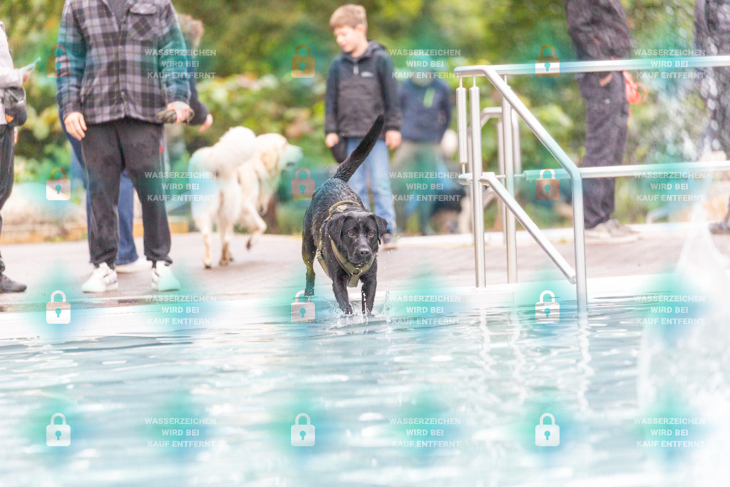 _HP_7355_1000o | HetPix, HetPix Fotodesign, Fotografie, Fotodesign, Webshop, Sportfotografie, Portraitfotografie, Onlineshop, Sportfotografie, Polch, Motorsportfotografie, Eventfotografie