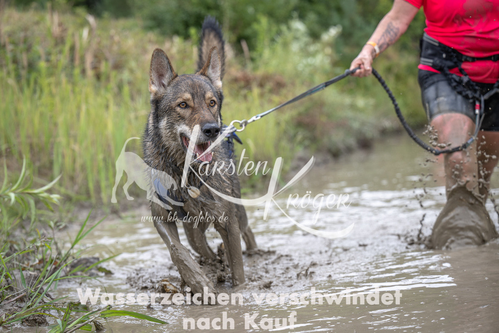 1229_ZZ99266 | kk-dogfotos