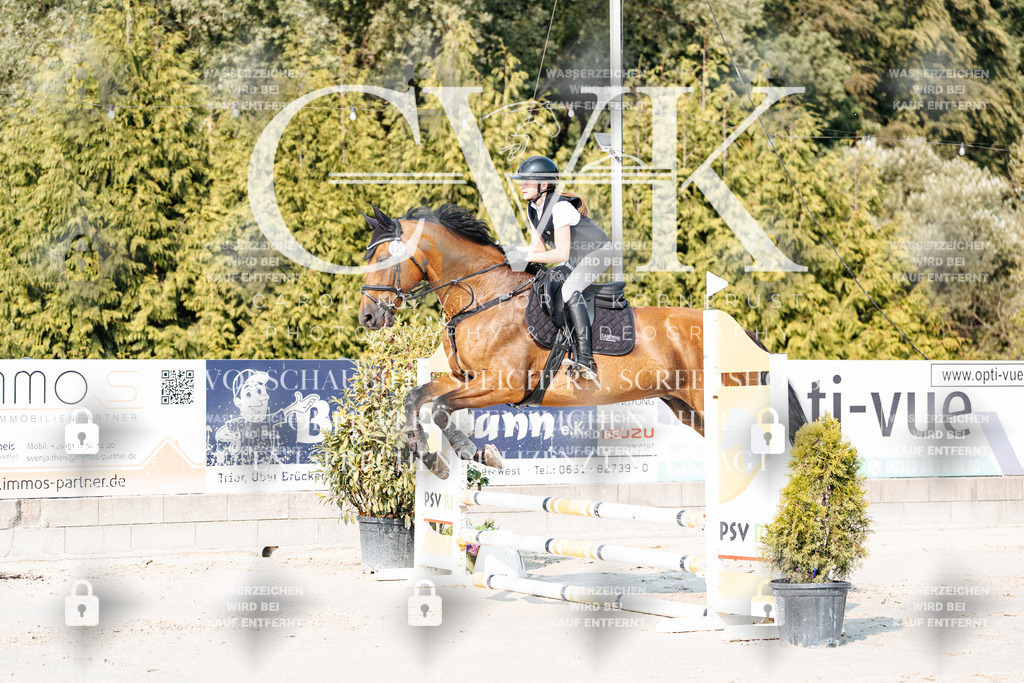 CK902708 | Turnierfotografie Pferdefotografie Trier Rheinland-Pfalz Pferdesport Reitsport Tierfotografie Sportfotografie Pferdevideo Pferdevideografie Equestrianvideography equestrianphotography  - Realisiert mit Pictrs.com