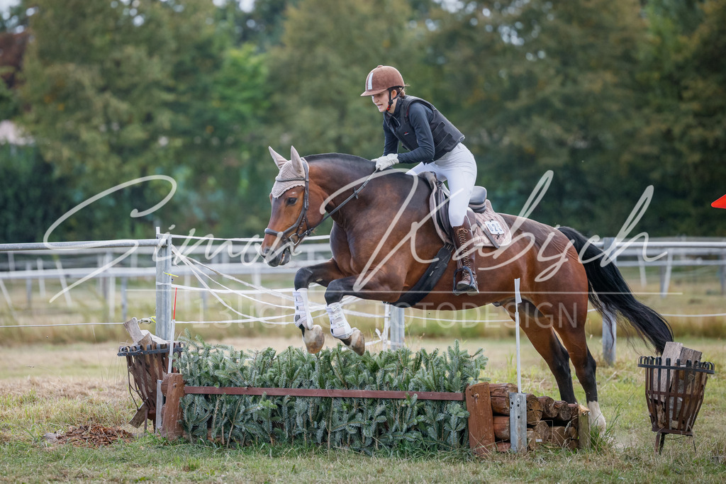 20250905-_3LI1686 | Tierfotografie Pferde, Hunde, Katzen, Haustiere.
Turnierfotografie Reitturniere, Reiten, Springreiten, Dressur in Hanau, dem Main-Kinzig-Kreis und dem Rhein-Main- Gebiet um Frankfurt