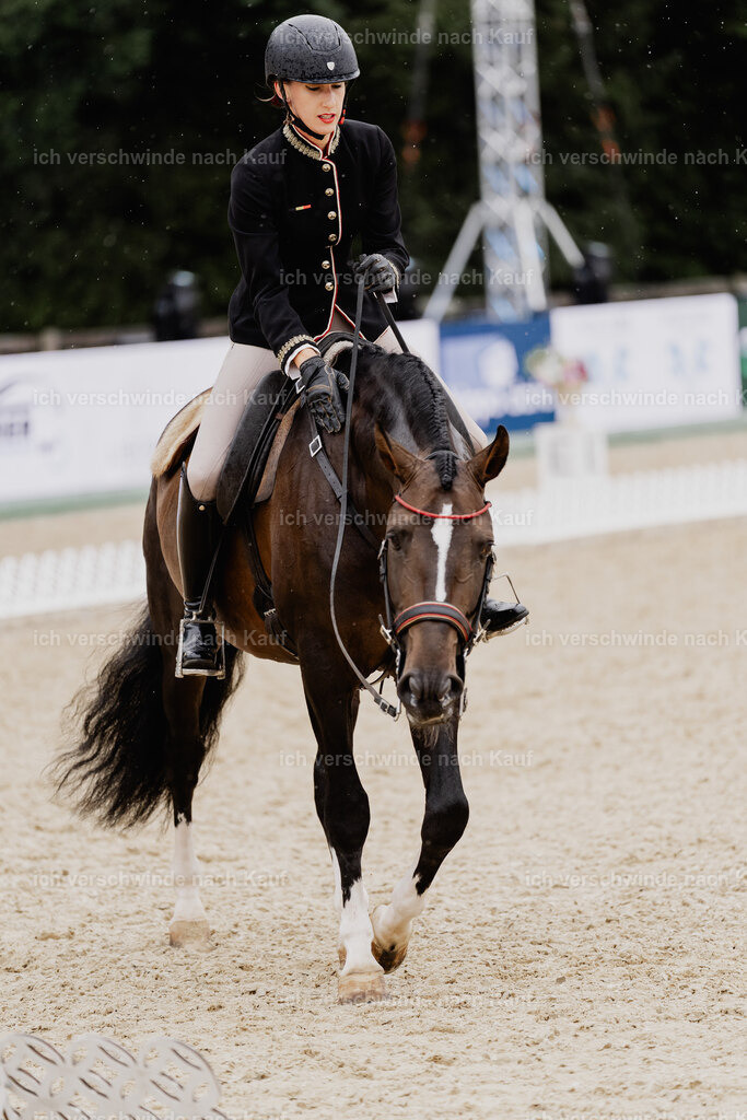 Virginie12FHC2025-8383 | working equitationturnier fotograf videograf stoibphotography marixx film working equitation deutschland reitsport turnierfotografie eventfotografie equestrian events