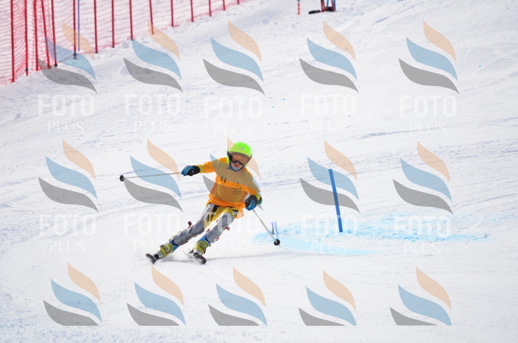 C8322 | holidayphoto