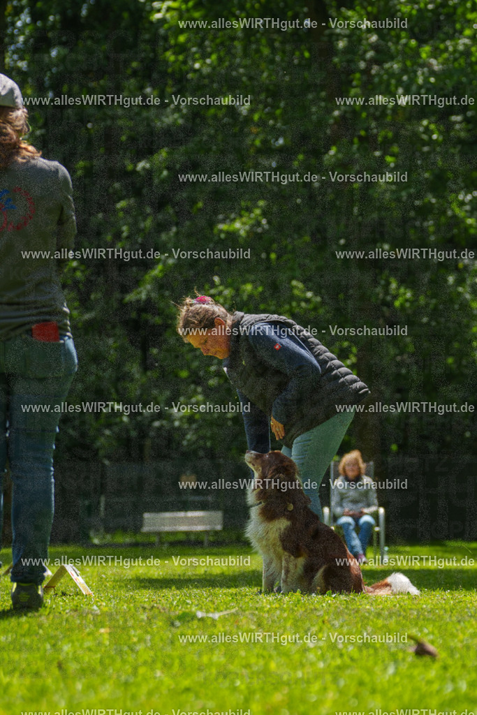 @allesWIRTHgut_Tierfotografie - www.allesWIRTHgut.de - 7R505414 | Professionelle Tierfotografie in Mönchengladbach von Daniel Wirth (allesWIRTHgut). Liebevolle & natürliche Bilder von Hunden & Katzen für unvergessliche Erinnerungen.