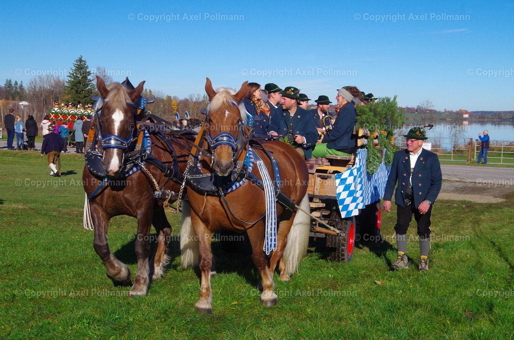 IMGP7527 | fotografiert von Axel PollmannLeonhardi Wallfahrt Benediktbeuern und Murnau, Fronleichnam, Fasching, Landschaft im Loisachtal und Benediktbeuern  - Realisiert mit Pictrs.com