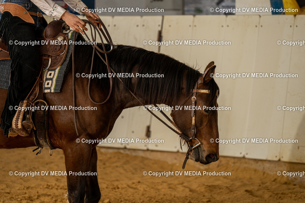 MIT00966 | dv-media-shop - Realisiert mit Pictrs.com