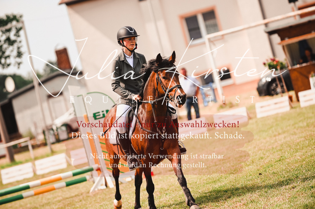 DSC_6910 | Pferde- und Turnierfotografie in Westsachsen. Pferdeportraits, Auftragszeichnungen und intuitive Kunst.