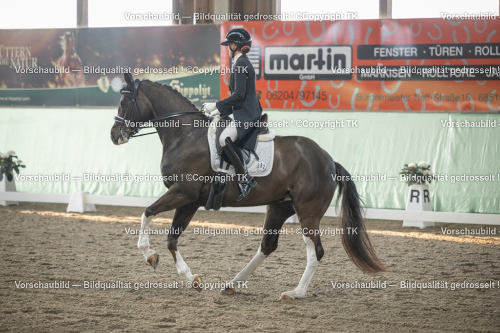 _D5A7868 | Emotionale Pferde- & People-Fotografie rund um Heidelberg, Leimen & Umgebung. Natürliche Fotos von Pferd, Mensch & Familie. Jetzt Termin sichern!