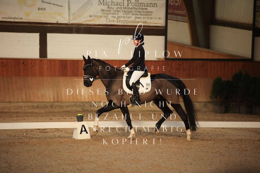 IMGT3291 | pl-fotografie