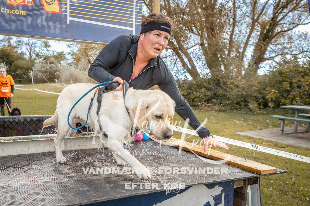 1350_ZZ92360-2 | kk-dogfotos