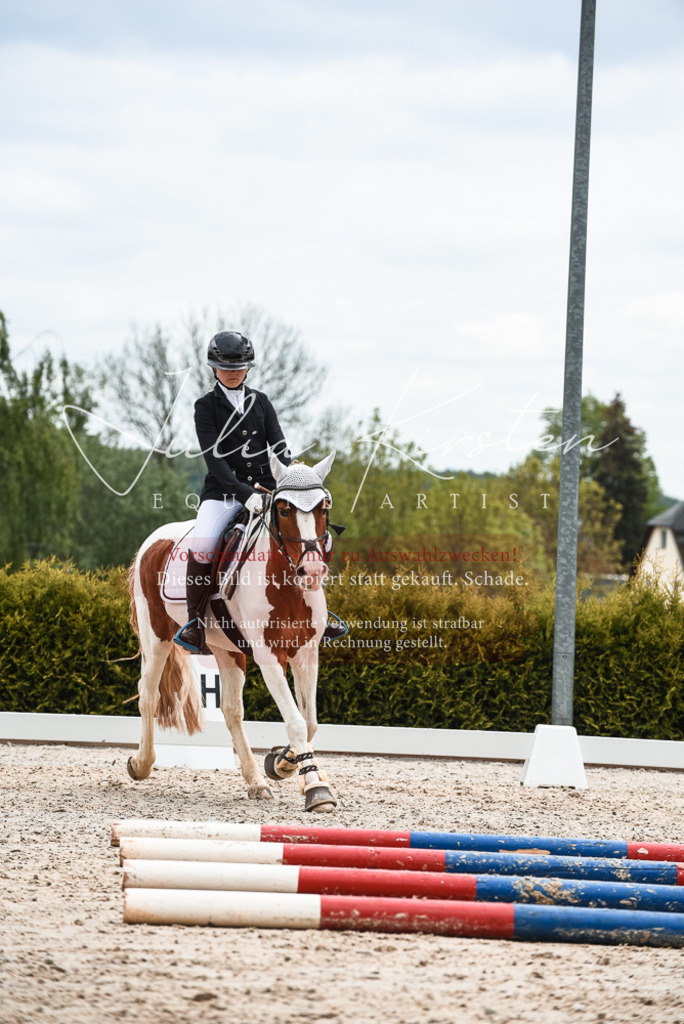 20230518_JK-Röhrsdorf-10-646 | Pferde- und Turnierfotografie in Westsachsen. Pferdeportraits, Auftragszeichnungen und intuitive Kunst.