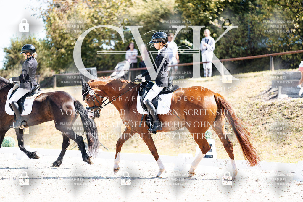 CK904037 | Turnierfotografie Pferdefotografie Trier Rheinland-Pfalz Pferdesport Reitsport Tierfotografie Sportfotografie Pferdevideo Pferdevideografie Equestrianvideography equestrianphotography  - Realisiert mit Pictrs.com
