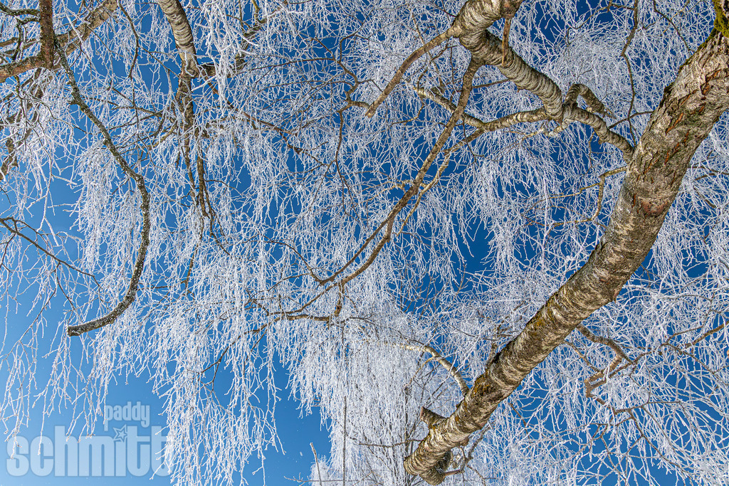 PS-Winter-2026-13 | Entdecke die größte Bildgalerie der Region mit Fotografien aus dem Allgäu, der Bodenseeregion, Oberschwaben, dem Donautal und der Schwäbischen Alb. Landschaften, Luftaufnahmen und Reisefotografie als Wandbild und Fotokunst. - Realisiert mit Pictrs.com