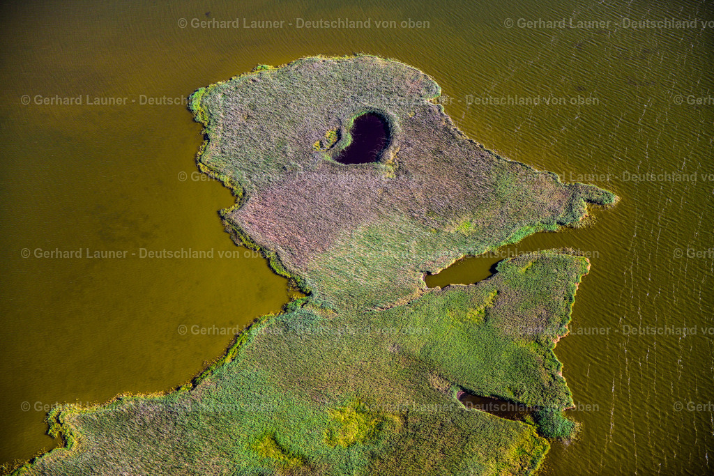 3638265 | Nationalpark Vorpommersche Boddenlandschaft, BORN AM DARß 25.08.2016 Küstenbereich der Borner Bülten - Insel in Born am Darß an der Ostseeküste im Bundesland Mecklenburg-Vorpommern, Deutschland. // Coastal area Borner Buelten - Island in Born am Darss at the baltic coast in the state Mecklenburg - Western Pomerania, Germany. Foto: Gerhard Launer