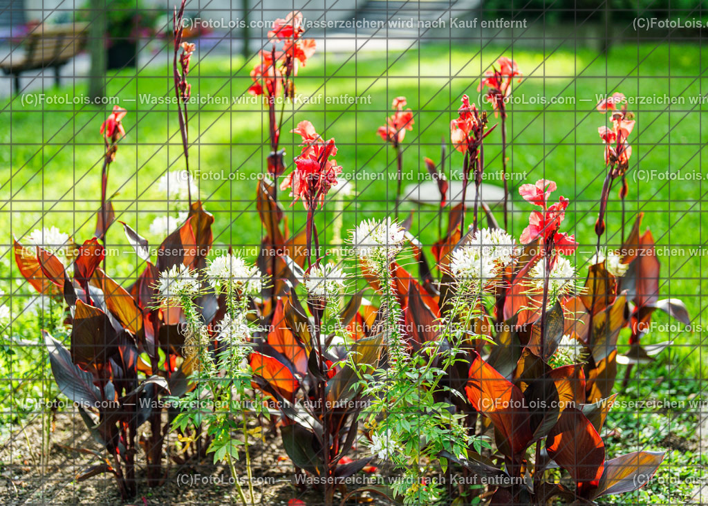 _DSC6022_IMSIEME-Schlosspark Wieselburg | INSIEME - la notte italiana, Konzert mit Monika Ballwein, Christian Deix, Rene Velazquez-Diaz und Erik Arno, im Schlosspark Wieselburg am 1. August 2025 ab 19.30 Uhr.