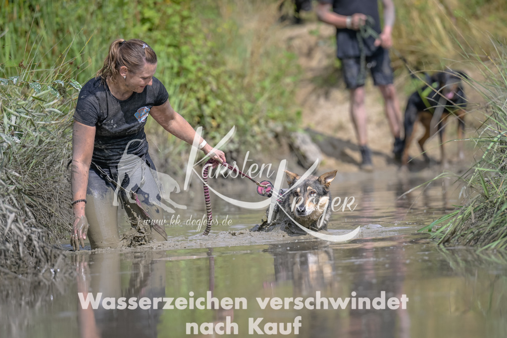 1615_ZZ94883 | kk-dogfotos