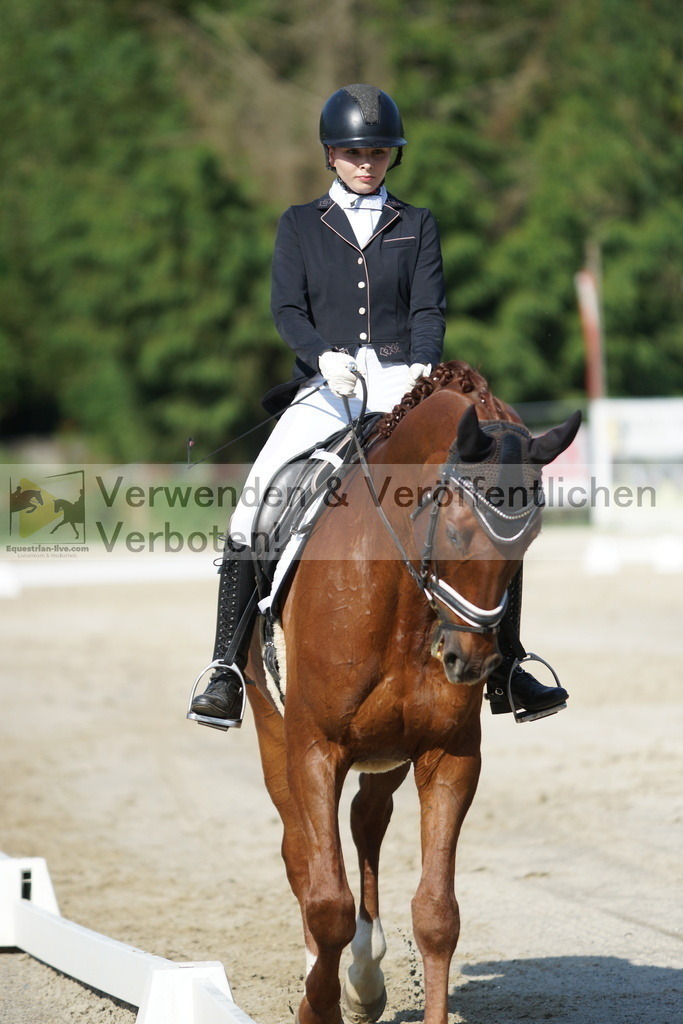DSC04465 | equestrian-live-com