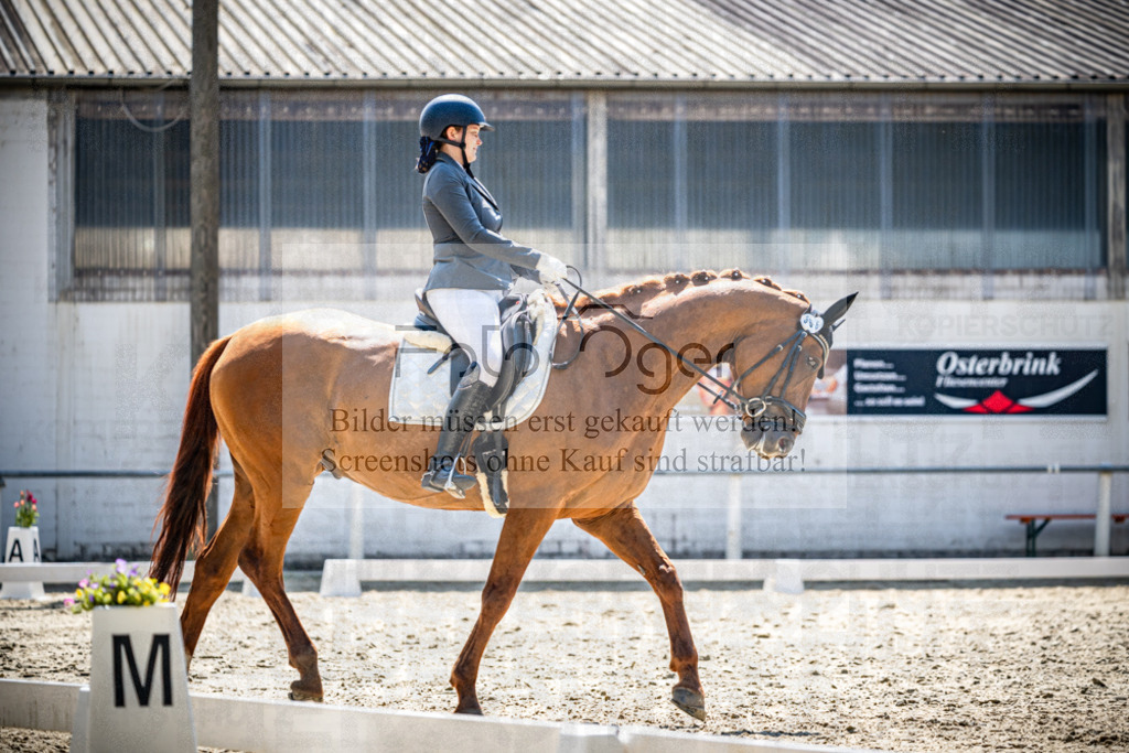 Turnier Laggenbeck 2026-10-0378 | Entdecke hochwertige Reitturnierfotos von Foto Oger. Professionell, emotional und authentisch – jetzt Lieblingsmomente im Shop bestellen.Deutschlandweite Turnierfotografie. - Realisiert mit Pictrs.com