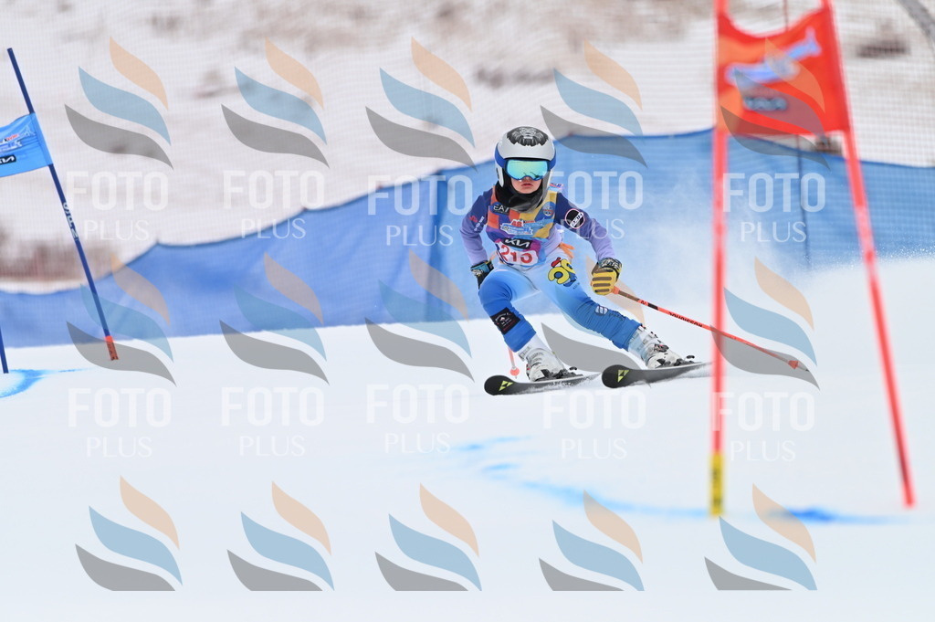 BGV_2602 | holidayphoto