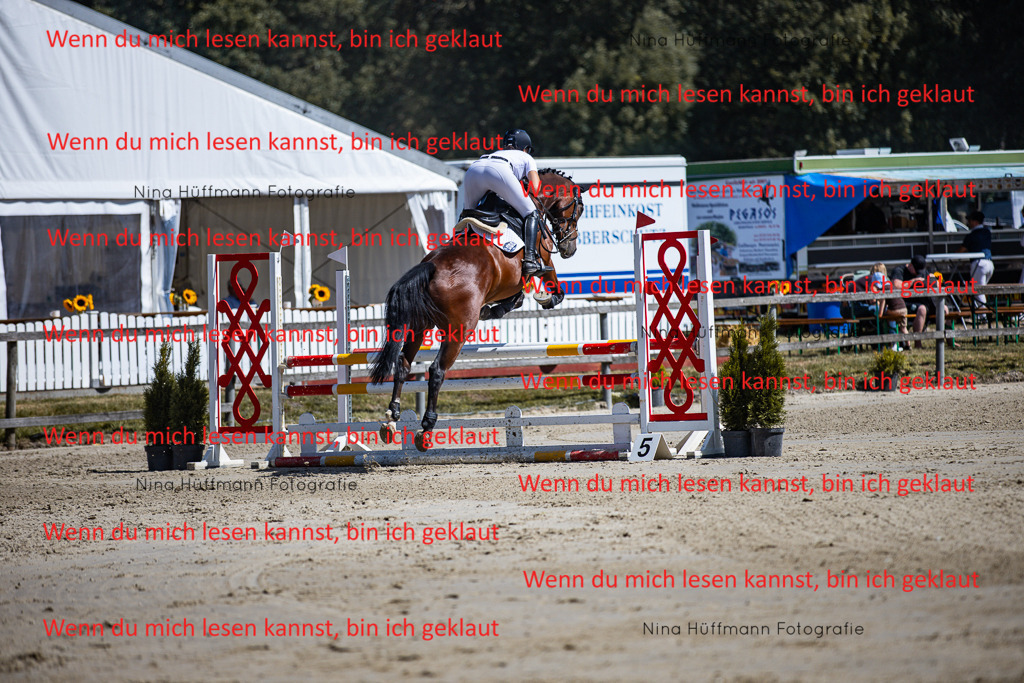 BK1A5380 | Turnierbilder Turnierfotos Nina Hüffmann Turnierfotografie Pferdefotografie Tierzeichnung Haustierzeichnung Pferdezeichnung Hundezeichnung Videograf  - Realisiert mit Pictrs.com