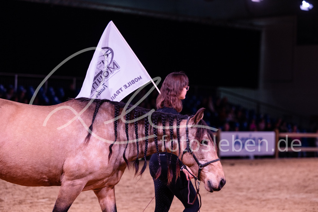 846A6707 | fotosleben - Realisiert mit Pictrs.com