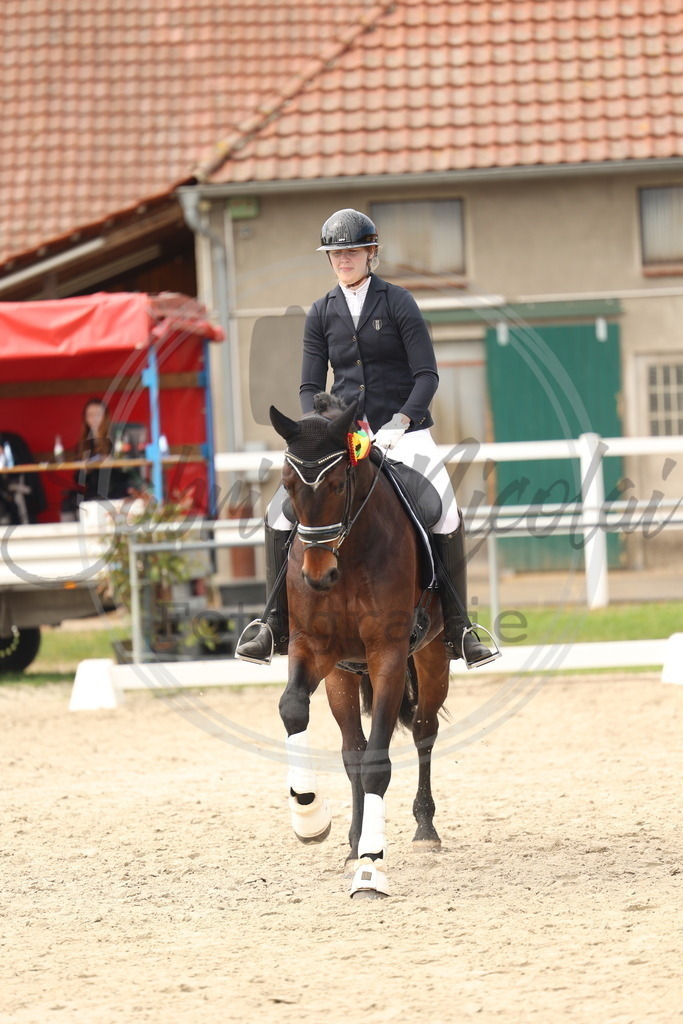 994A7025 | sabrinanicolaifotografie - Realisiert mit Pictrs.com