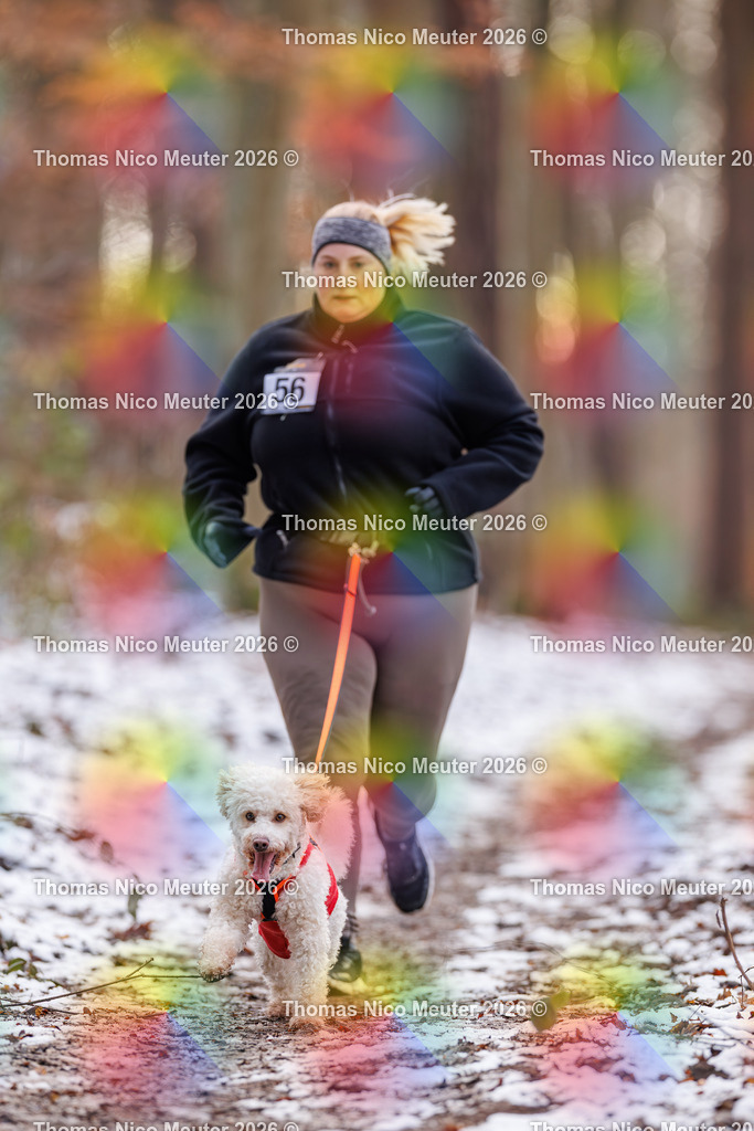 Thomas_Nico_Meuter(C)_223A8938 | Bild von Thomas Nico Meuter - Realisiert mit Pictrs.com