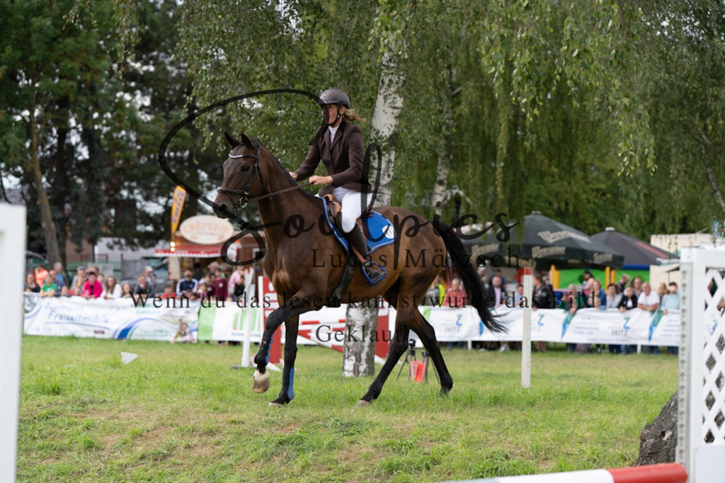 A7V05864 | Pferdefotograf