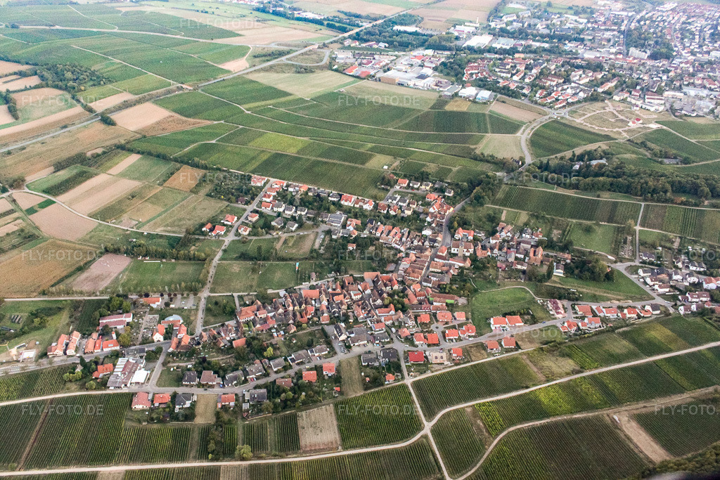 Luftbild: Ortsansicht von Nordwesten im Ortsteil Pleisweiler in Pleisweiler-Oberhofen im Bundesland Rheinland-Pfalz in Deutschland. Foto: IMG_21313.jpg vom 23.09.2009 durch Werner Riehm/FLY-FOTO.de