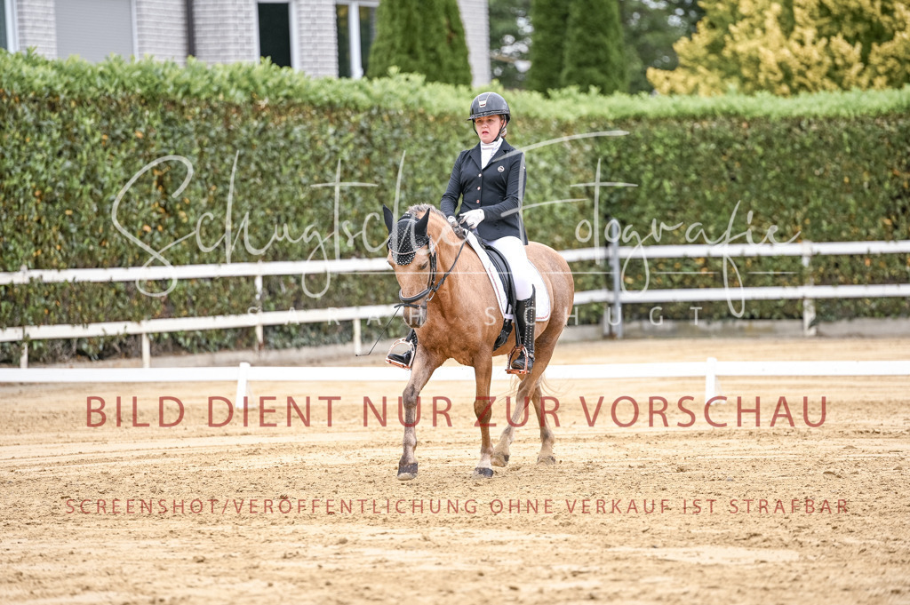 Schugtsche-Aluta25-42.EDressur -230 | Schugtsche Fotografie - Realizzato con Pictrs.com