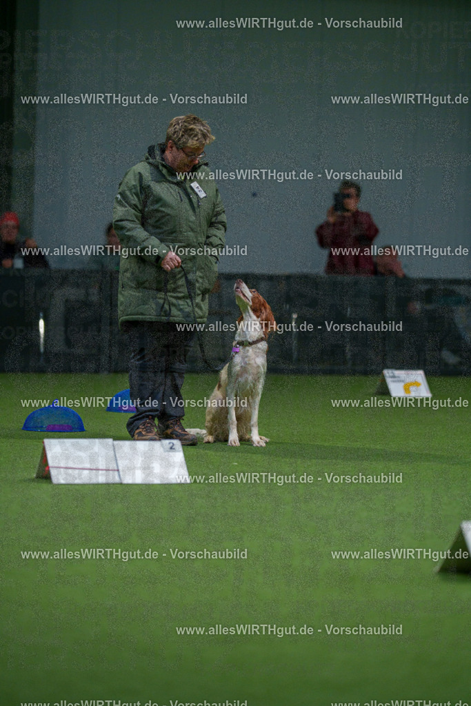 7R500127 | Professionelle Tierfotografie in Mönchengladbach von Daniel Wirth (allesWIRTHgut). Liebevolle & natürliche Bilder von Hunden & Katzen für unvergessliche Erinnerungen.