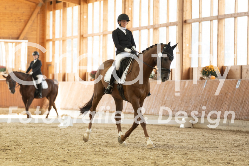 IMG_2766 | Creatify Fotografie