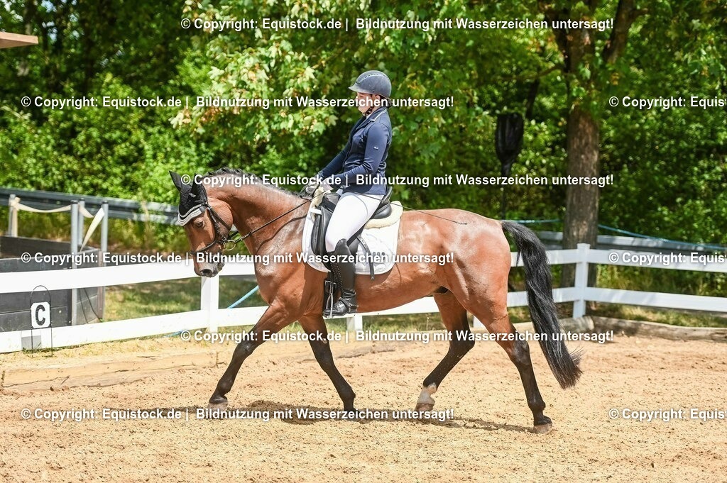 20230716_03_Dressurprfg. Kl.L - Tr._0660 | equistock