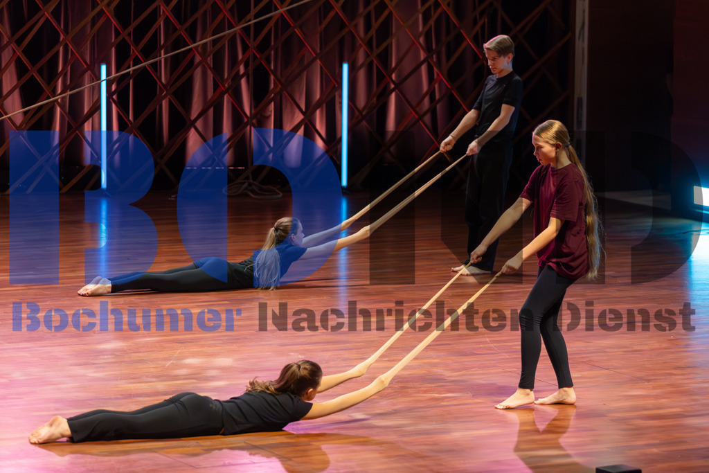 SES_ZWIBOC20250204-29 | bond - Realisiert mit Pictrs.com