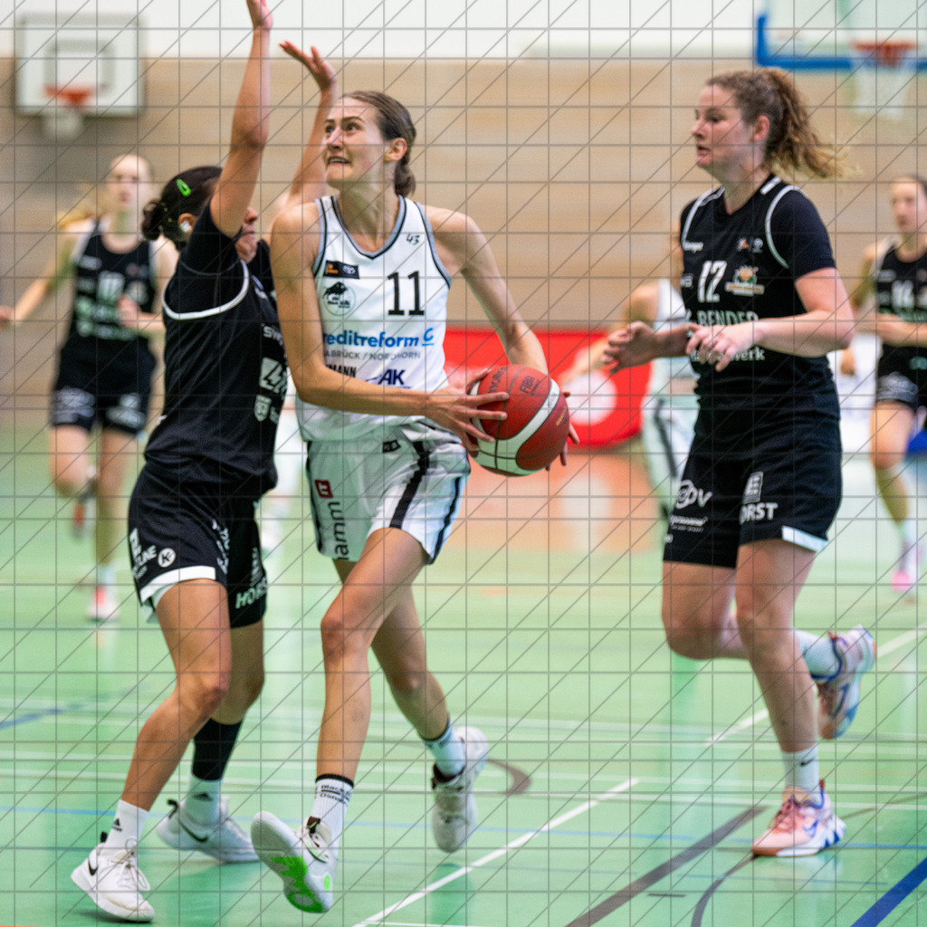 2. DBBL Nord 24/25 | 06.10.2024 | BBC OS vs. Bender Baskets Grünberg | 2. DBBL Nord 24/25 | 06.10.2024 | BBC OS vs. Bender Baskets Grünberg - - - - - CREDIT, www.bullenfotos.de, Martin König, Hörner Weg 40, D-49078 Osnabrück, +4917663732967, Nutzung und Weitergabe nur zu den vereinbarten Zwecken. Presseanfragen an Urheber. Alle Rechte beim Urheber. - - - - - - Realisiert mit Pictrs.com